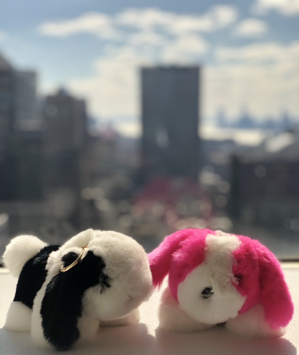 ShopSurell's tweet image. Friends Fur Life 💕🐰#shopsurell #rexrabbit #keychains