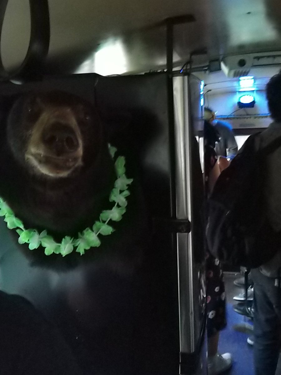 WSUM's tweet photo. #busbear #sxsw https://t.co/z8dNXJqIqP
