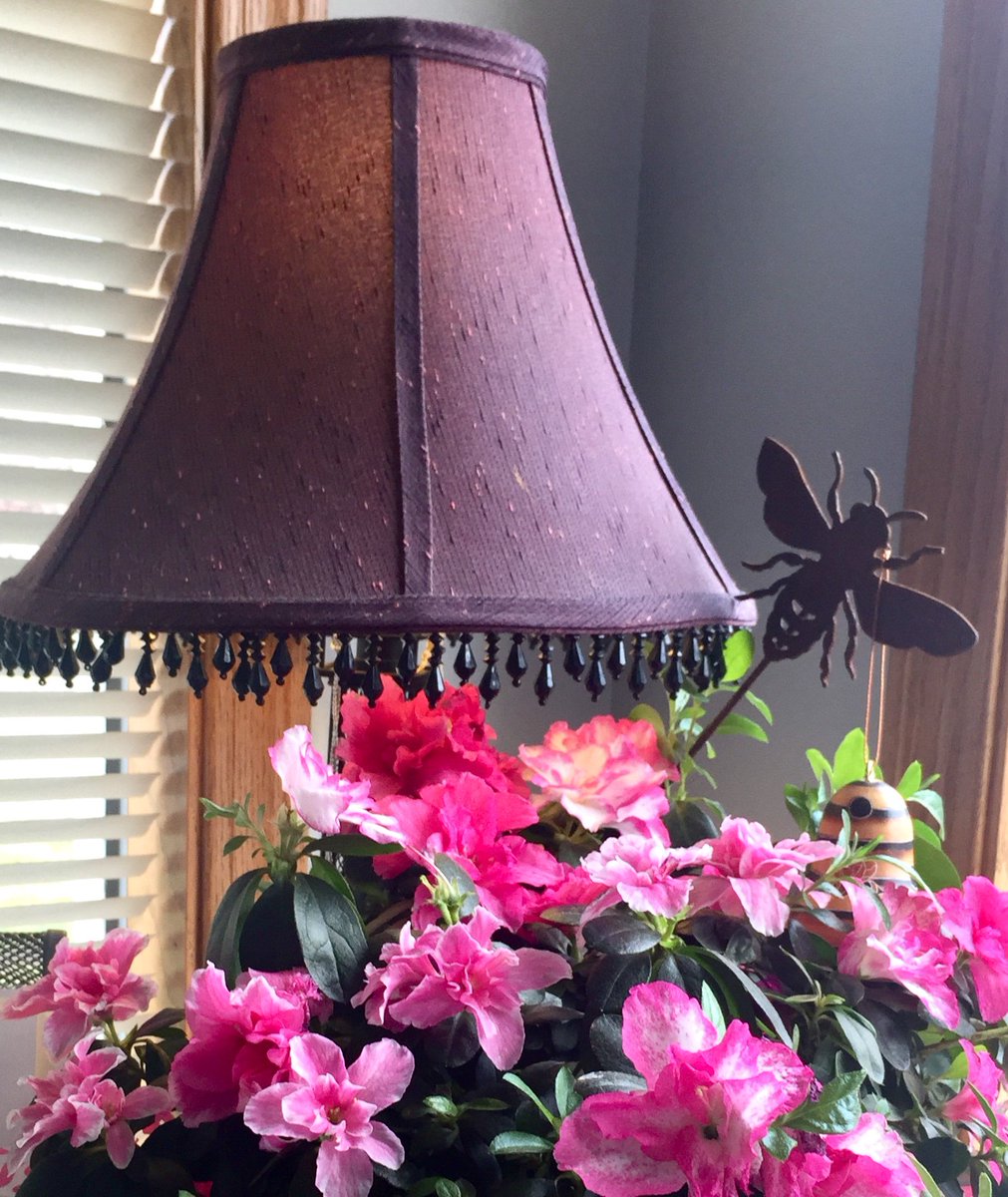 beebar1's tweet photo. Plant a flower and know that Spring is just around the corner! #PlantAFlowerDay #LookingForSpring #HoneyHouse #BeeLotion #BeeBar #LipButter https://t.co/G9RSEdo7Hx