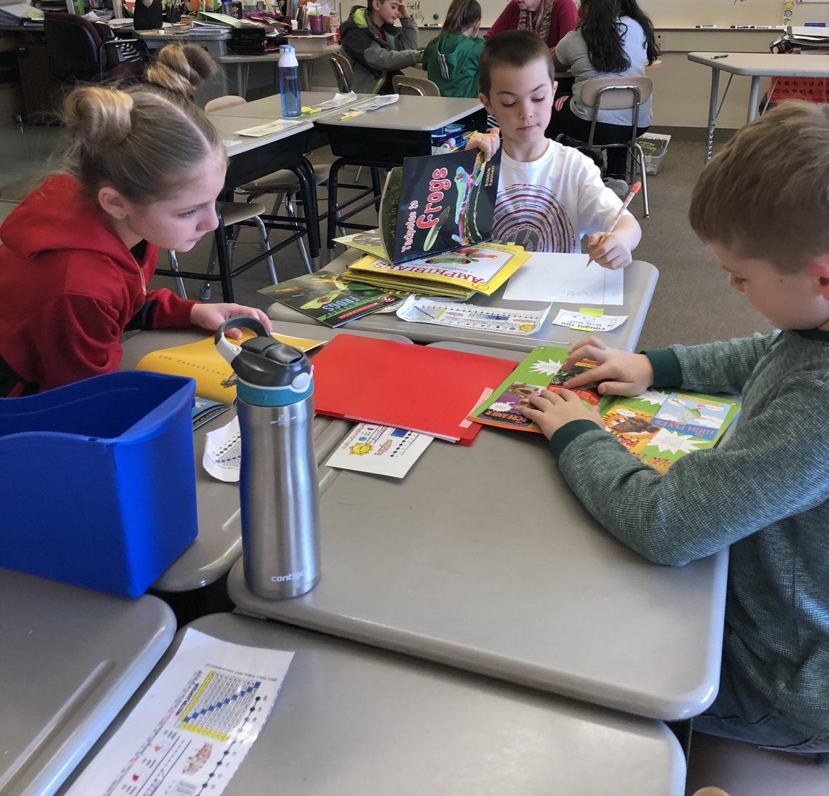 Donna Tibert tweet media