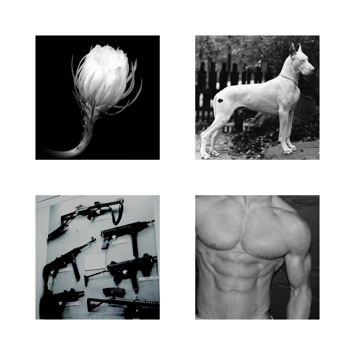 ʀᴋ𝟷𝟶𝟶𝟶: ᴇǫᴜɪᴘᴘᴇᴅ ᴡɪᴛʜ ᴛʜᴇ ᴍᴏsᴛ sᴜᴘᴇʀɪᴏʀ ɪɴᴛᴇʀʀᴏɢᴀᴛɪᴏɴ, ɪɴᴛɪᴍɪᴅᴀᴛɪᴏɴ, ᴄᴏᴍʙᴀᴛ, ᴀɴᴅ ᴅᴀᴛᴀ ᴄᴏʟʟᴇᴄᴛɪɴɢ ᴘʀᴏɢʀᴀᴍs.

ᴛʜɪs ᴍᴏᴅᴇʟ ᴡᴀs ɪɴɪᴛɪᴀʟʟʏ ᴄʀᴇᴀᴛᴇᴅ ᴛᴏ ʙᴇ ᴀ ᴍɪʟɪᴛᴀʀʏ ᴀɴᴅʀᴏɪᴅ ᴀɴᴅ ɪs ʜɪɢʜʟʏ ᴅᴀɴɢᴇʀᴏᴜs.