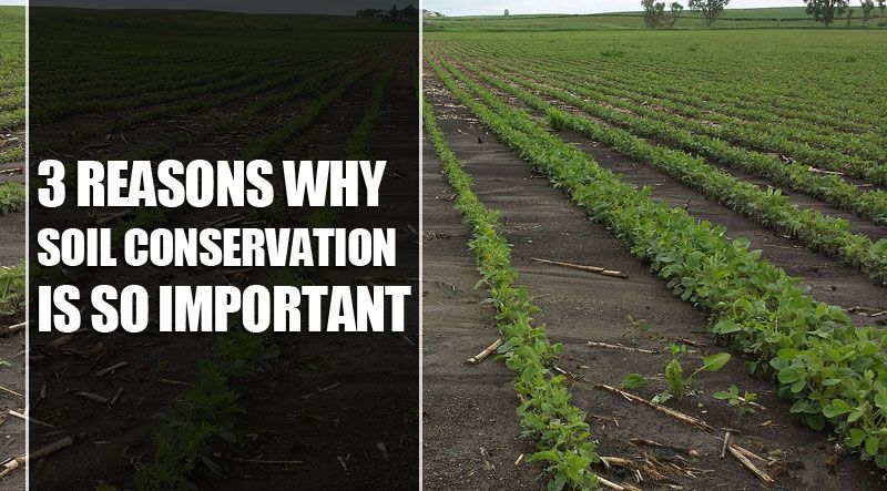 PlanterDirect's tweet photo. Quality soil is incredibly important for many reasons. Here are 3 reasons why soil conservation is important: https://t.co/A5x8TSBQjY #soilconservation https://t.co/dkT8rFSIKO