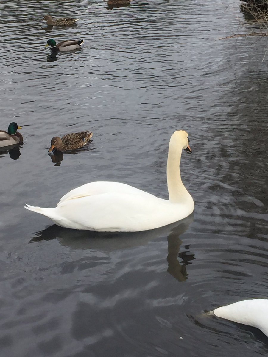 rainbowfools's tweet image. emma who? @jenmorrisonlive @OnceABC