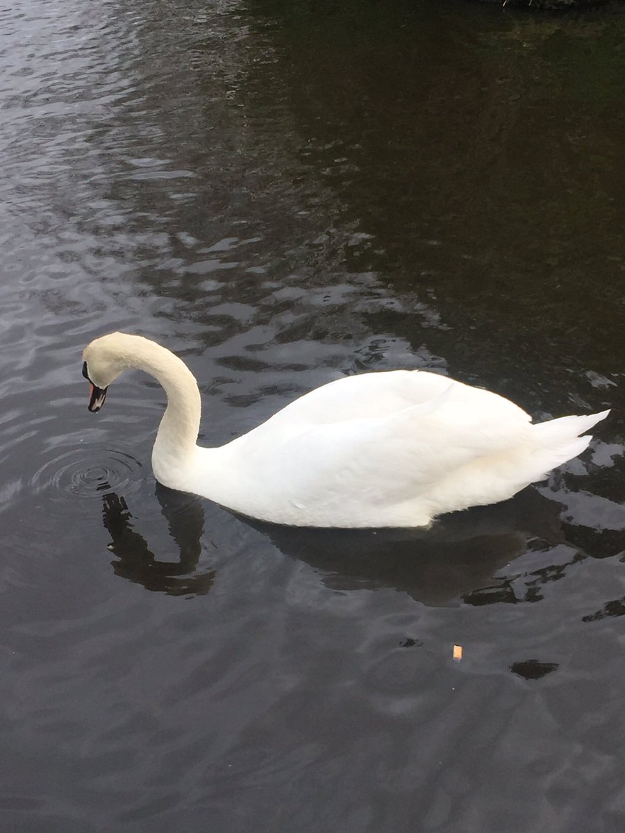 rainbowfools's tweet image. emma who? @jenmorrisonlive @OnceABC