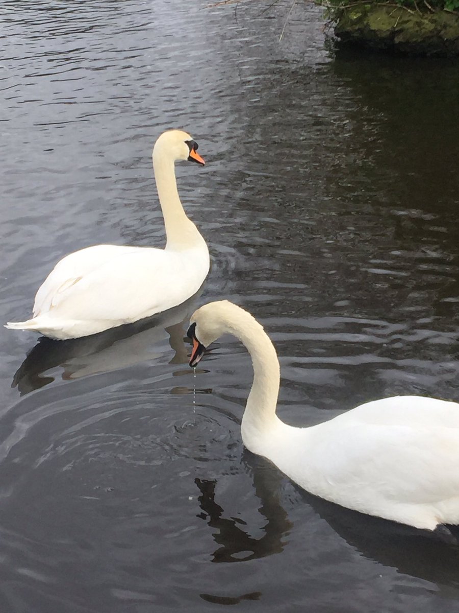 rainbowfools's tweet image. emma who? @jenmorrisonlive @OnceABC