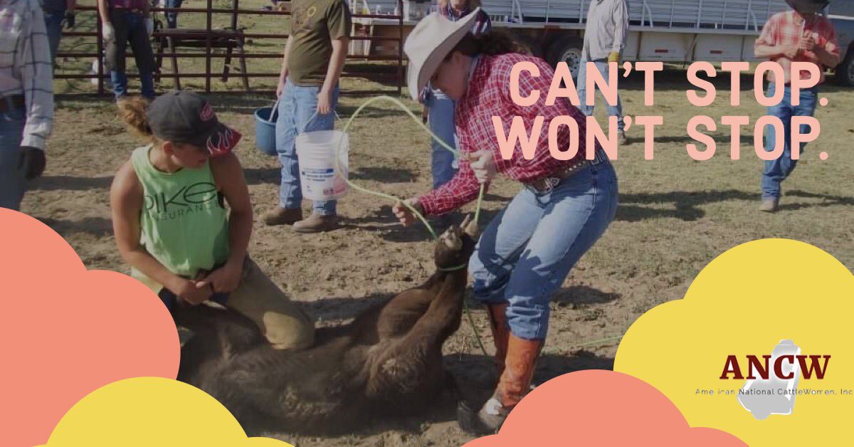 AmericanCW's tweet photo. The question isn’t who is going to let me, it’s who is going to stop me. -Ayn Rand. We love what we do &amp; it shows. We do what needs to be done when it comes to our #family, our #lifestyle and our #livelihood. #FARMHer #WomensHistoryMonth #WomenInAg #CattleTales #agdaily #farming https://t.co/HYaKosyVVU