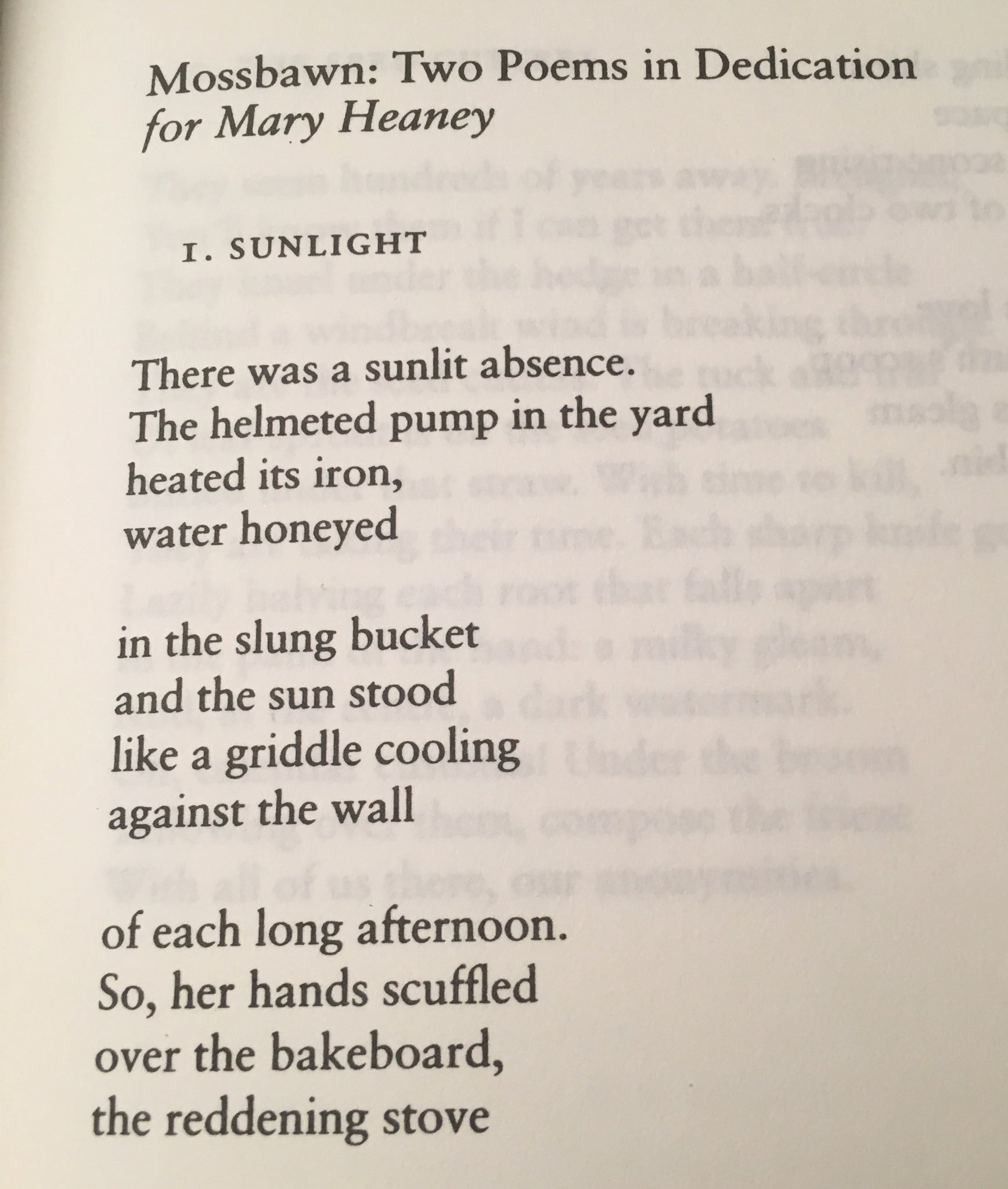 Nath Daily Poem By Seamus Heaney Sunlight Enjoy Reading Kristina Vidic Nath Daily Poem By Seamus Heaney Sunlight Enjoy Reading Kristina Vidic
