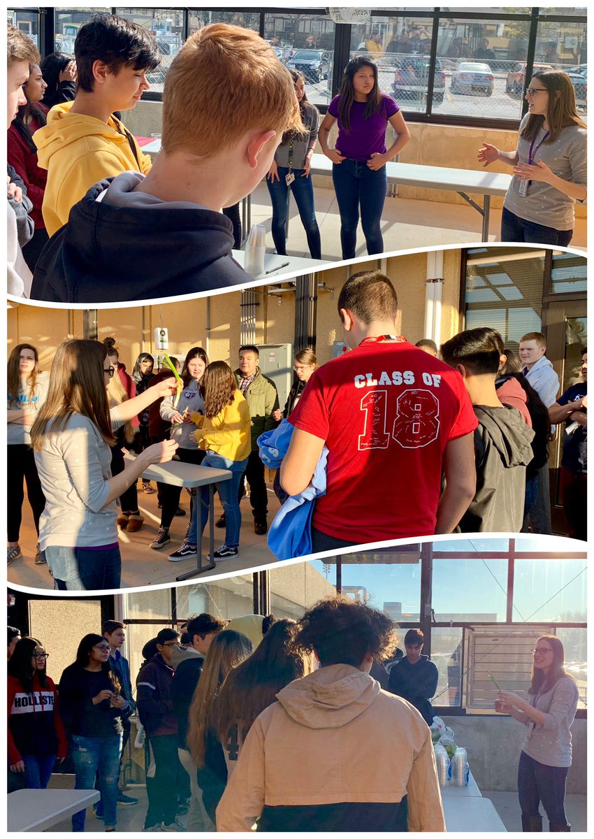 RadcliffTweets's tweet photo. So thankful that #KendallWright helped bring our agriculture unit to life by teaching us how to grow plants from #FoodWaste in the new @RMHSMUSTANGS Greenhouse!! #NowWePlayTheWaitingGame https://t.co/S6AcDruWdn