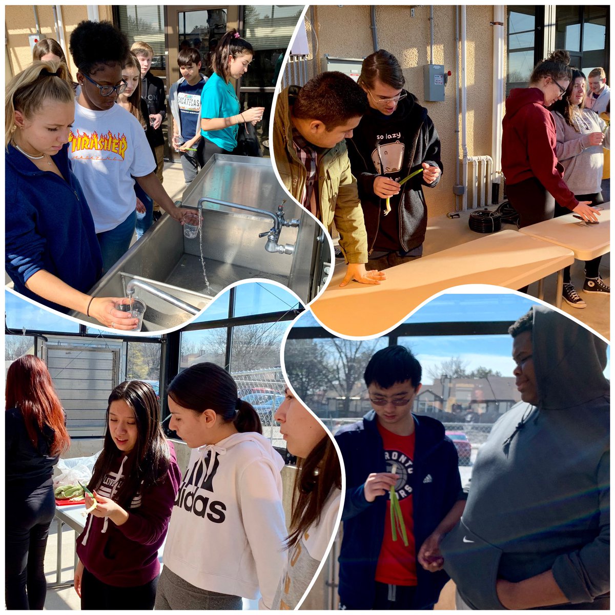 RadcliffTweets's tweet photo. So thankful that #KendallWright helped bring our agriculture unit to life by teaching us how to grow plants from #FoodWaste in the new @RMHSMUSTANGS Greenhouse!! #NowWePlayTheWaitingGame https://t.co/S6AcDruWdn