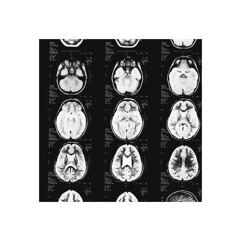 WittedIntellect's tweet image. 𝑻𝑹𝑬𝑵𝑻𝑶𝑵 𝑶’𝑴𝑬𝑨𝑹𝑨

       ❛ 𝓦e all die. If we accepted that, we’d be happier.

━─┄ an original multifandom character. has autism. sweet but very shy. comes from an abusive childhood. bisexual (ships w/chem). mature content.

             penned by #𝓐uris.