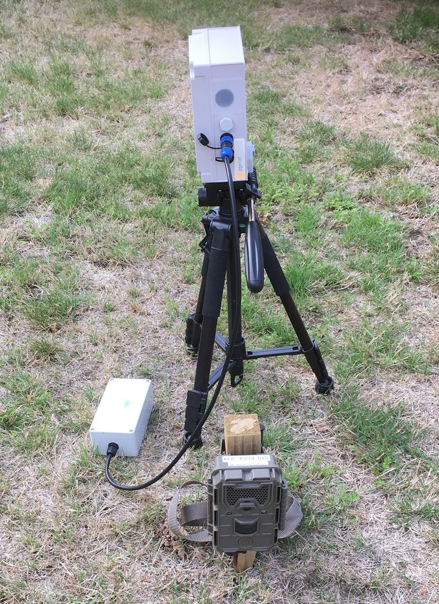 birdsongnz's tweet photo. AI heat camera is 3.5x more sensitive than trail cameras for possum detection...

Here's the initial results from a trial funded by @OSPRI_NZ to test the sensitivity and cost of different possum detection methods -
https://t.co/erGEYi3ZWZ 
#PredatorFreeNZ https://t.co/yxS2kfKfVA
