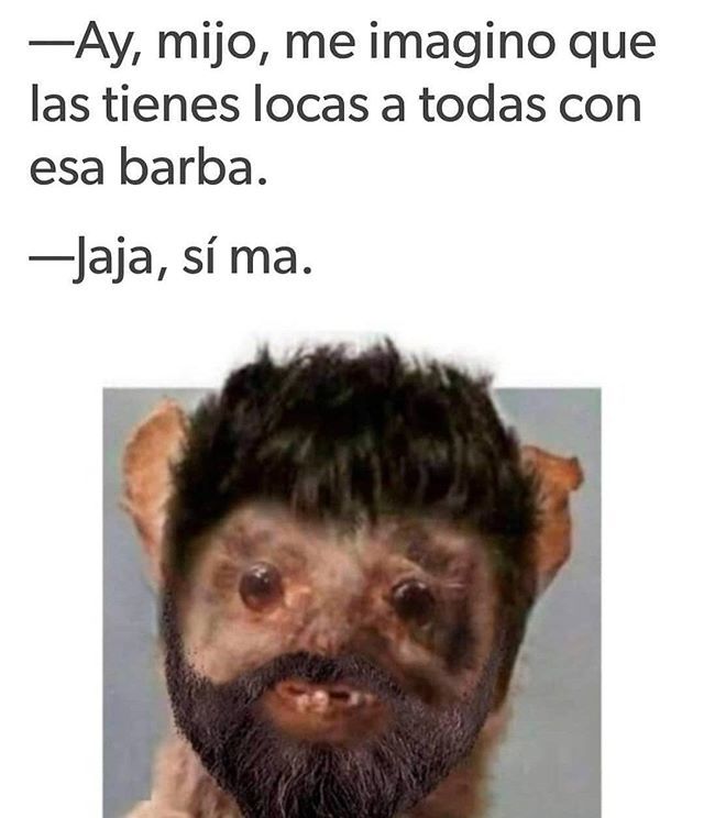 SinaloaMusica's tweet photo. 🧔🏻 https://t.co/83oB2914iO