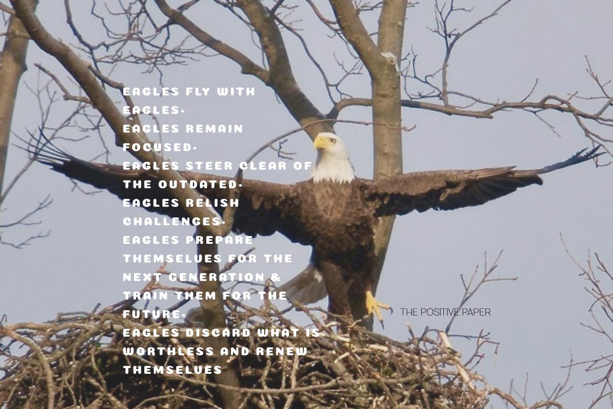 positivepaper tweet picture
