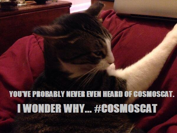 bhgross144's tweet photo. @LeapingRobot @historyasif @jordanbimm Félicette: Not to be confused with #CosmosCat!
https://t.co/9LKiwxG7A2 https://t.co/9iQDm8Rl0Z
