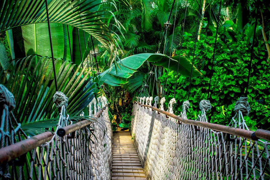 Hiphospitality's tweet photo. 7 Nights Exploring the Rainforests of Costa Rica https://t.co/BX5JAIlloR https://t.co/AJUgtsIbS5