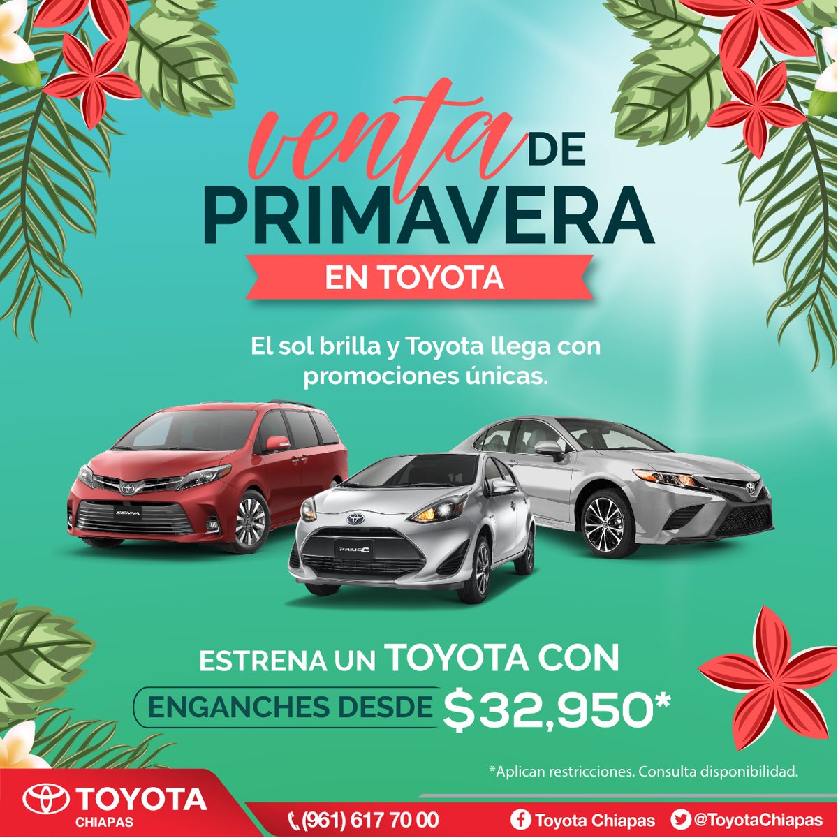 ToyotaChiapas's tweet photo. ✨🚗⭐Estrena en Toyota Chiapas con los beneficios que tenemos para ofrecerte, además de los mejores enganches y bonos en vehículos seleccionados✨🚗⭐

🌿🌸🌱¡Solicita una cotización!🌿🌸🌱

*Aplican restricciones, consulta las bases https://t.co/QYpenH2IIt