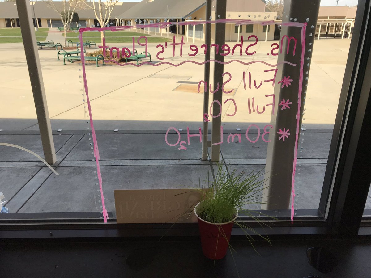 Leslie Sherrett tweet media