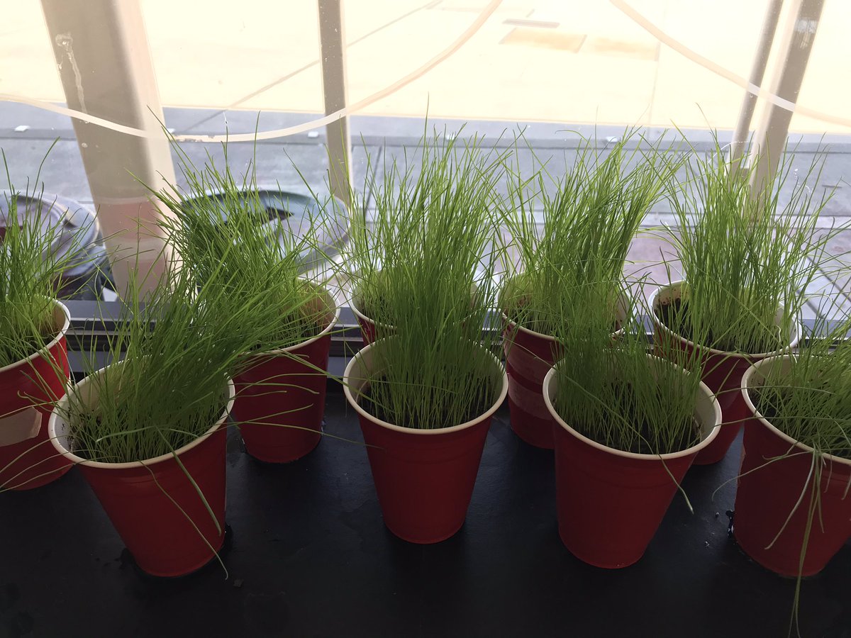 Leslie Sherrett tweet media