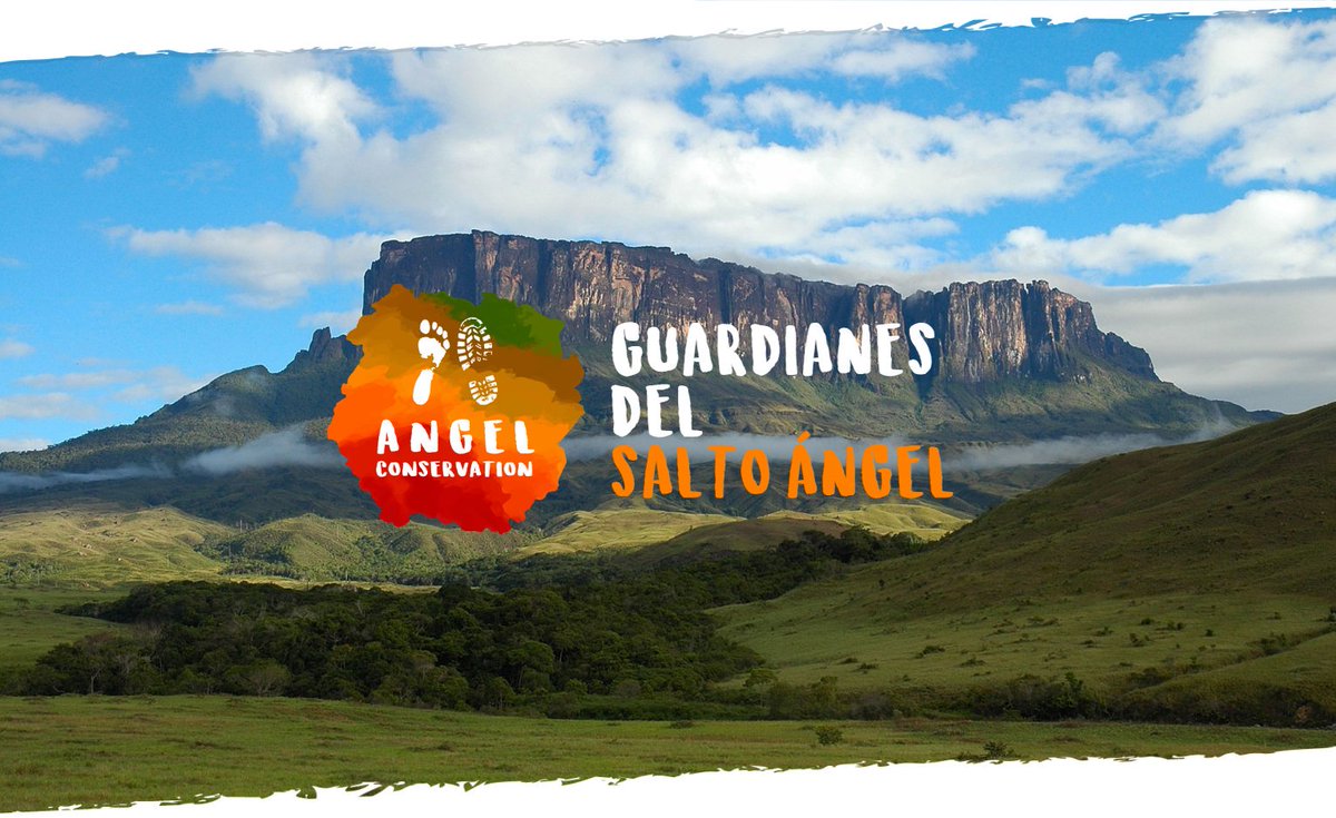 FlatcodeAgency's tweet photo. Propuesta de diseño de identidad y sitio web para Angel Conservation #flatcodeagency
-
📌 ¡Empecemos tu proyecto ahora! Descubre lo que podemos ofrecerte en https://t.co/YjyCE6q9Ij
-
#flatcode #web #website #design #identidad #logo #logodesign #identity #designer #mockup https://t.co/k4i6aa3zmn