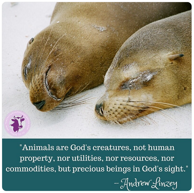 AnimalApologist's tweet photo. Many Christians ignore God's loving view of animals. They seem to ignore the great truth that God is love. A loving God loves His creatures. #UnionWithGod #LoveDoesNotHarm #HelpGodsAnimals #ReturnToEden #SaveGodsAnimals #GardenofEdenDiet #GoPureVegetarian #TakeCareofYourTemple https://t.co/0APPm9382e