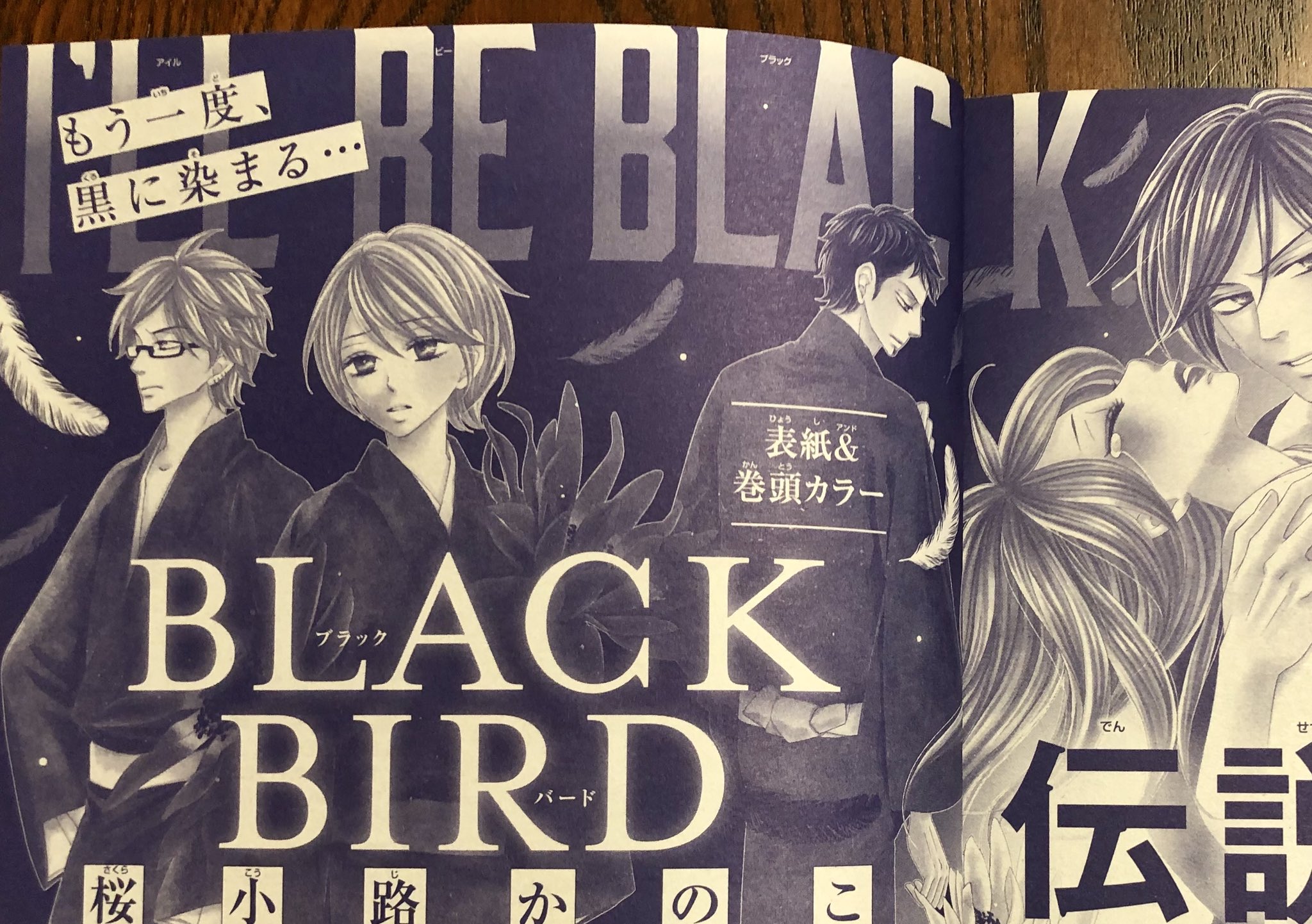 桜小路かのこ בטוויטר そして次号は Black Bird を描きます 掲載される頃には 舞 台 終 わ っ て る け ど ね 読み切りって書いてあるけど 短い番外編です 予告ページのアオリを見て 思わず親指立てて溶鉱炉に沈みたくなりました 久々すぎて不安です 桜小路かのこ בטוויטר そして次号は Black Bird を描きます 掲載される頃には 舞 台 終 わ っ て る け ど ね 読み切りって書いてあるけど 短い番外編です 予告ページのアオリを見て 思わず親指立てて溶鉱炉に沈みたくなりました 久々すぎて不安です