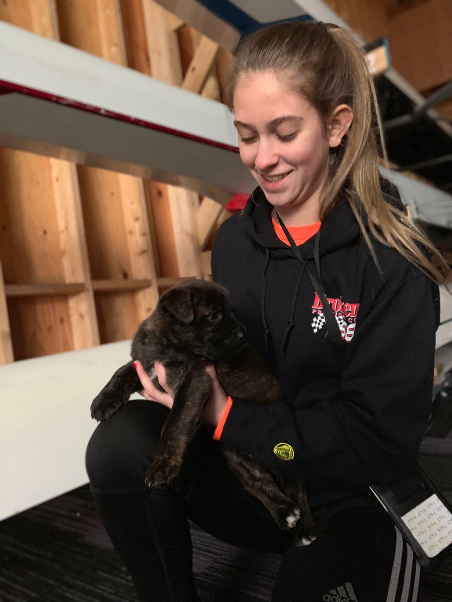 A puppy in the new boathouse!?😍#regattadogs