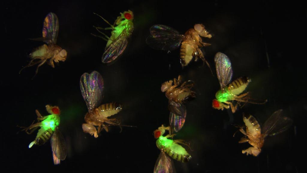 BiotechDailycom's tweet photo. Gene Editing Reveals Interaction between Antimicrobial Peptides and Pathogens:The genome editing tool CRISPR/Cas9... https://t.co/bYHl59RLrF https://t.co/iUiJ2xcYiz