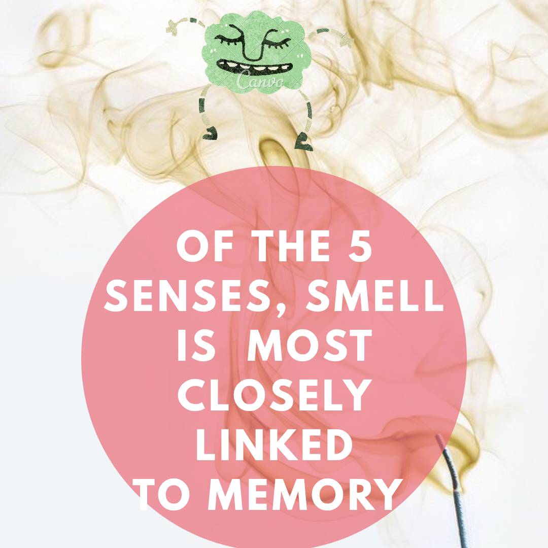 cerbotech's tweet photo. #cerbotech #focus #knowledge #science #memories #learn #follow #entrepreneur #smell #brain #mindset #achieve #technology #motivation #success #business #inspiration #share #change #advertising #photooftheday #psychology #mindfulness #creative #artist #mind #control #bhfyp #sense https://t.co/jSgrdSow34
