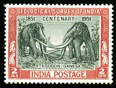 #IndianStamp tweet media
