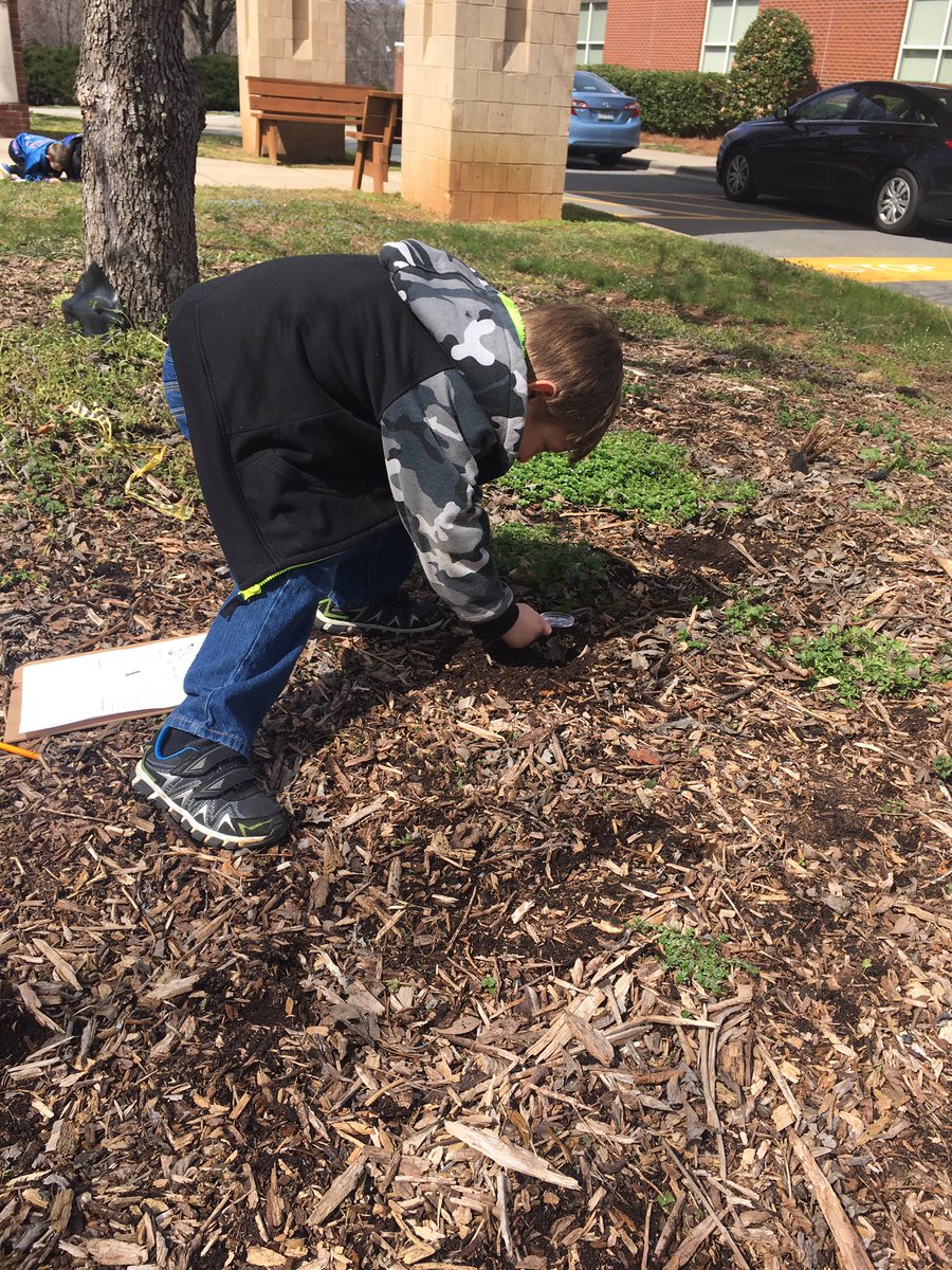 room17Day's tweet photo. Exploring different types of soil around the school today! #WeDoScienceWell @KESElementary https://t.co/U3BrdZ9vpU