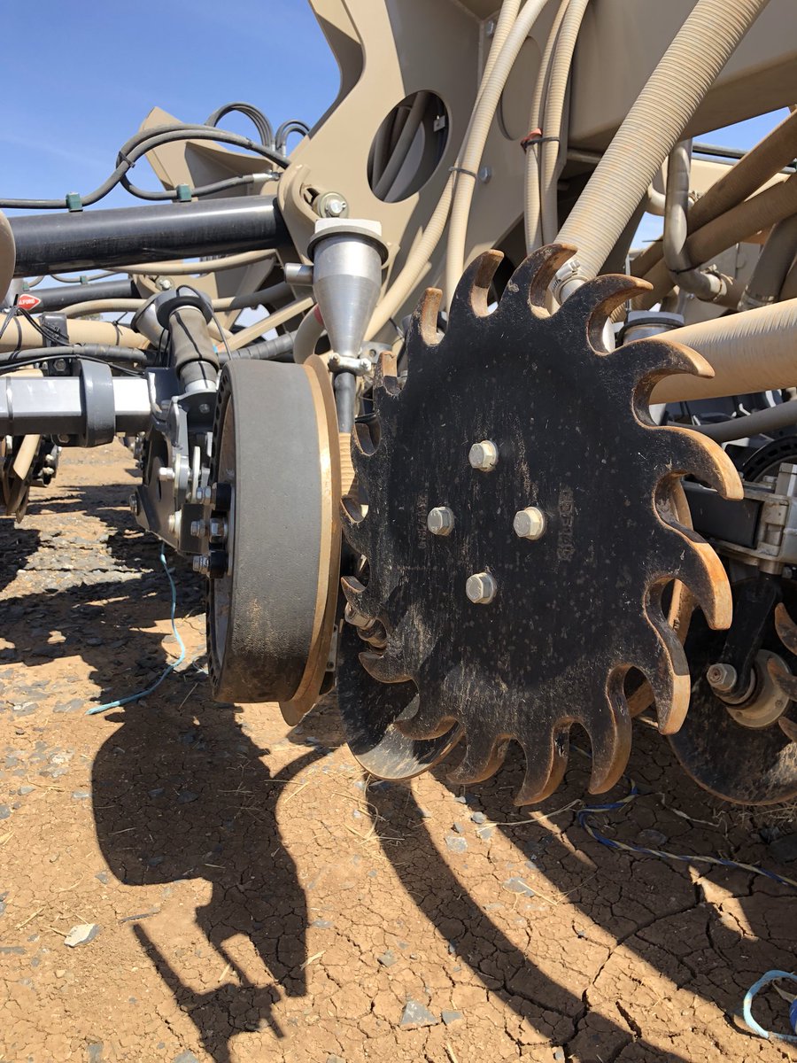 Has anyone had any success effectively incorporating treflan or similar IBS chemicals with NDF tooth wheel or similar set ups? #agchatoz #zerotill