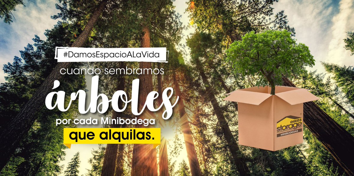 oikosstorage's tweet photo. Cada pequeño acto individual, representa un gran cambio global. 🍃💚🌳🌿 Queremos más aire para nuestro planeta y con tu ayuda lo lograremos.
#DamosEspacioALaVida #OIKOSStorage #Ambiente #medioambiente #ecologia #naturaleza https://t.co/t2NV9rZ9UU