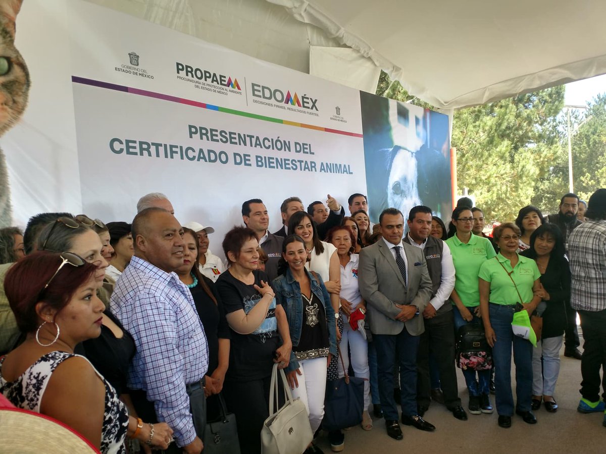 APASDEM's tweet photo. Hoy #APASDEM estuvo presente En la presentación del certificado de bienestar animal de #EstadoDeMéxico
#TodaVidaImporta https://t.co/cjFtJLkF4s