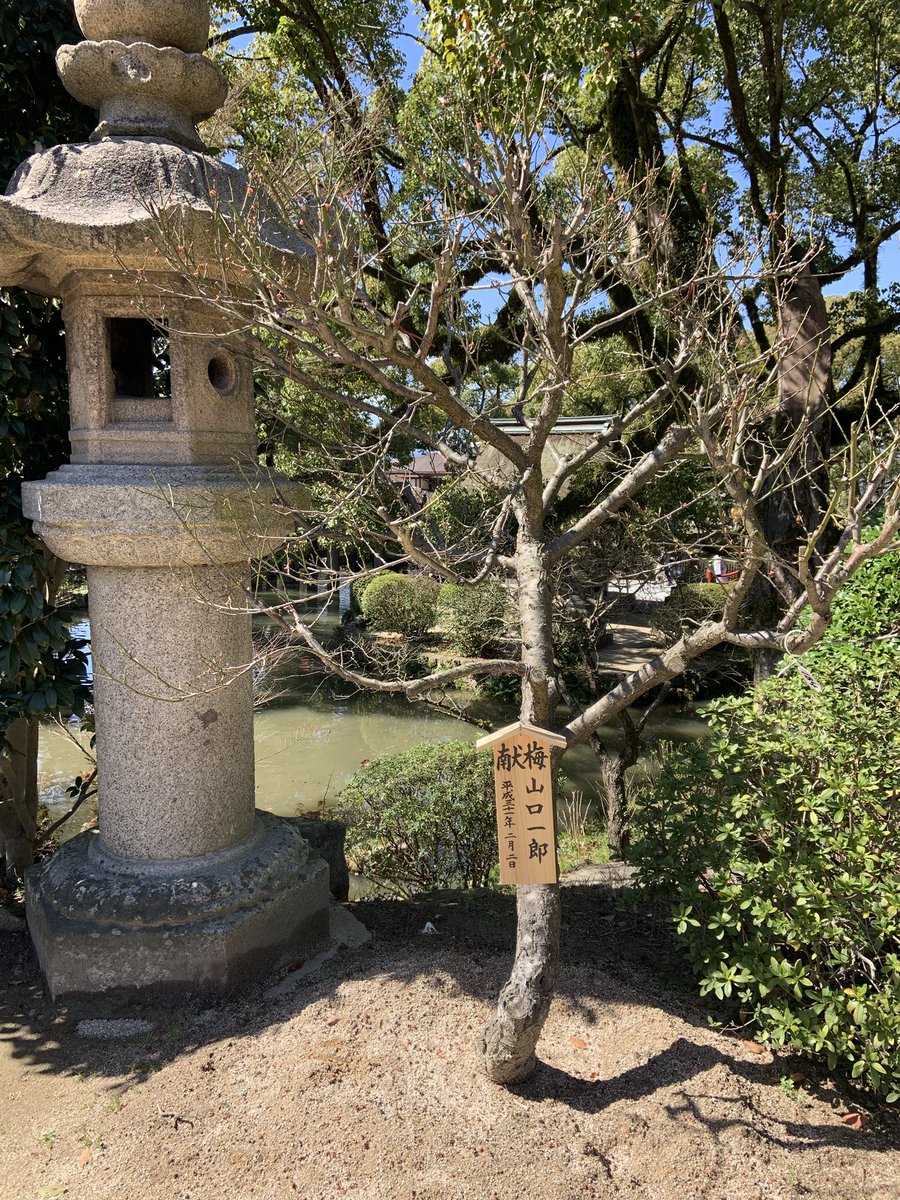 tabunkokeshi's tweet photo. みつけたー！！
いい天気♡ https://t.co/Cpq7xLvsTp