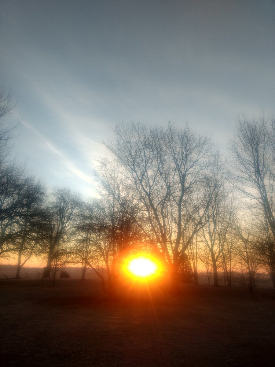 Probits's tweet image. Good morning sunshine.