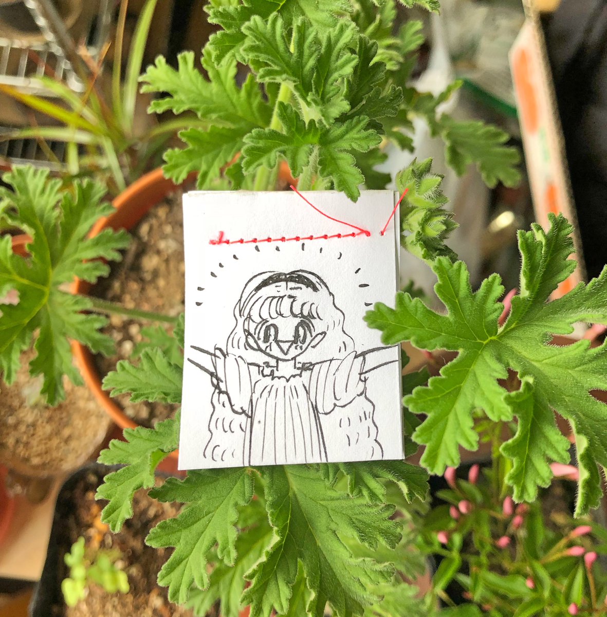 大丈夫じゃ・ねーけど
だいじょ〜ぶ ダyo 