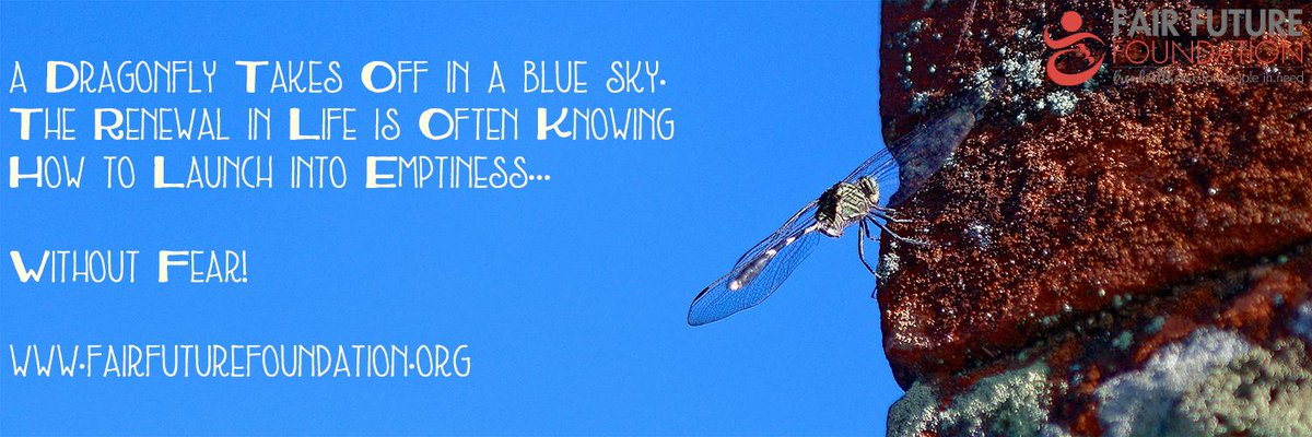 As a beautiful Dragonfly takes off in a blue sky, the renewal in life is often knowing how to jump into emptiness, without fear!

The <a href="/fairfuture/">Fair Future Foundation</a> will have a full new website soon. Happy to tell u that.

If you also want to support us, click here: fairfuturefoundation.org.