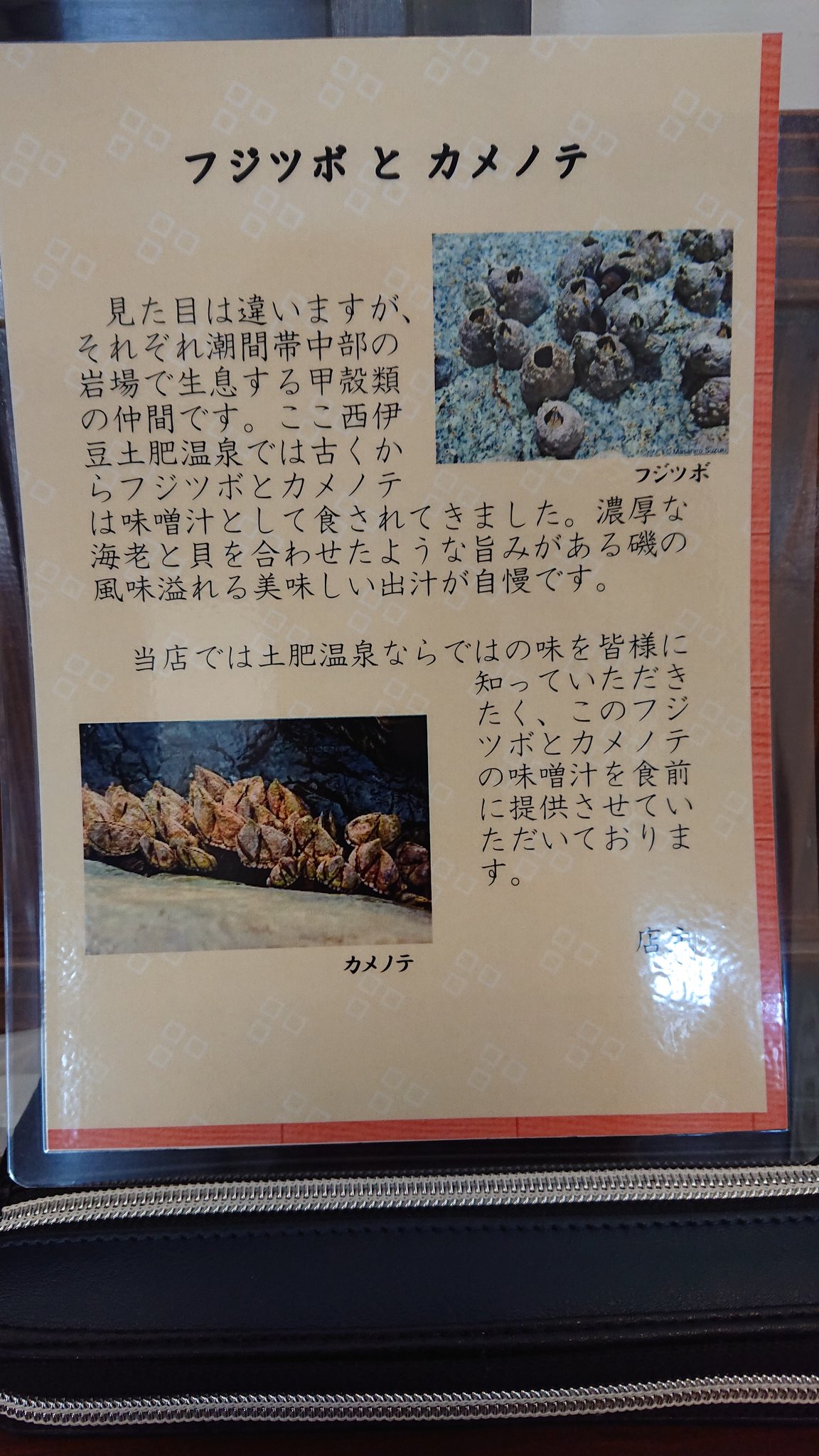 土肥のもっちゃん 今日オープン お蕎麦の前にフジツボの味噌汁 T Co S6uz4ut9og Twitter