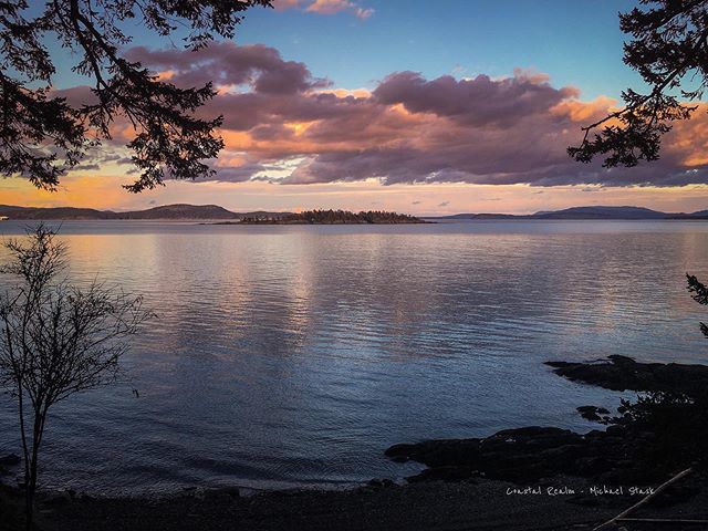 CoastalRealm's tweet photo. Beautiful evening to end a busy day... #sidneyisland
#sidneyislandbc
#photowalk
#pacificnorthwest
#beautifuldestinations
#beautifulbc
#britishcolumbia
#britishcolumbiamagazine
#canadianphotography
#bcphotographer
#sidney
#sidney,bc
#victoria
#victoriab… https://t.co/X0R1m6Mdxt https://t.co/vZIY7eItei
