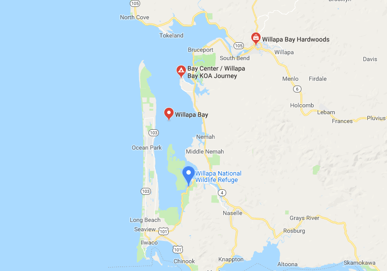 NWFISHINGNEWS's tweet photo. Commission to discuss Columbia River fisheries, take input on Willapa Bay salmon management https://t.co/jcggNrBcGf https://t.co/pIQJfOp1lo