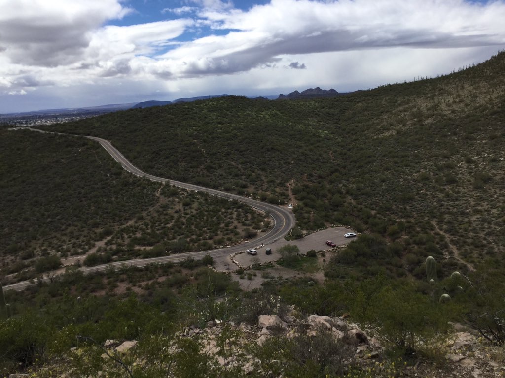 heathergreen21's tweet photo. Moved to a new Airbnb for my last month in Tucson. There’s a mountain nearby with an incredible trail network. The pup and I have been loving it... except for the large cactus needle I got in the leg this morning. It’s swelling up pretty well! #desertprobs #envhist #hikemania https://t.co/Mq0Bh5bS7v