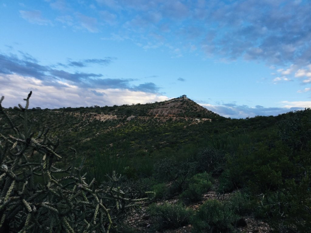 heathergreen21's tweet photo. Moved to a new Airbnb for my last month in Tucson. There’s a mountain nearby with an incredible trail network. The pup and I have been loving it... except for the large cactus needle I got in the leg this morning. It’s swelling up pretty well! #desertprobs #envhist #hikemania https://t.co/Mq0Bh5bS7v
