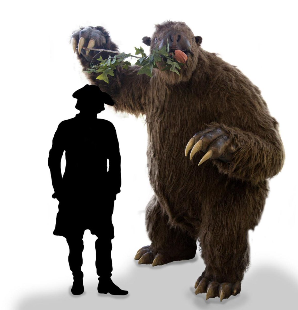 Cryptid_Wiki's tweet image. On March 10, 1797, Thomas Jefferson presented a paper on the bones of a creature he named Megalonyx ("giant claw"). He asked Lewis and Clark, as they planned their famous expedition in 1804–1806, to keep an eye out for living specimens. Today, Megalonyx is WV state fossil.