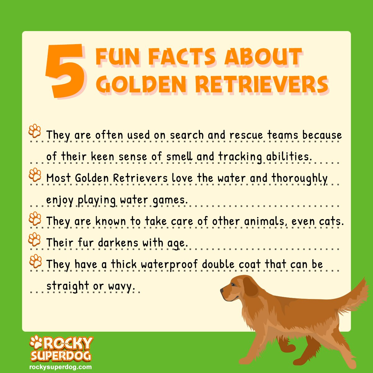fun facts about golden retrievers