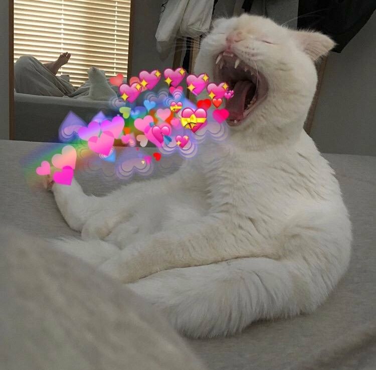 // Bueno ya es tarde, voy a sobarla ya.

Lo mismo de siempre, si alguien quiere rol que me diga.

Besis de fresi.