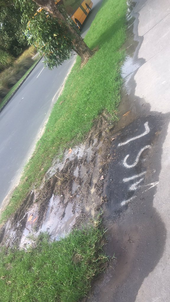 AwstinW's tweet photo. @AklCouncil Hey there. I’m on Meola Road between @MOTAT_NZ no.02 and the entrance Meola Reef Reserve parking lot and a fire hydrant here is leaking. It’s on the Motat side of the street. Not sure who to tell. https://t.co/ekSqlcQhcA