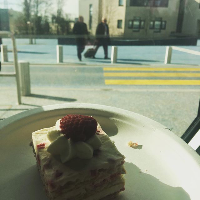 DrKriebel's tweet image. I snagged the cake and ran because my schedule was always going to be nuts Mar12. This is outside @cern. Look how fresh our raspberry is looking! #nostalgia #myweb30 #web30 #myweb30birthdaycake roadtrip