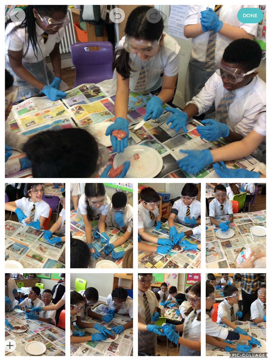 HPA_Philip_Lane's tweet image. More from our brilliant #HPAPLYear6 scientists yesterday. 
#HPAPLScience