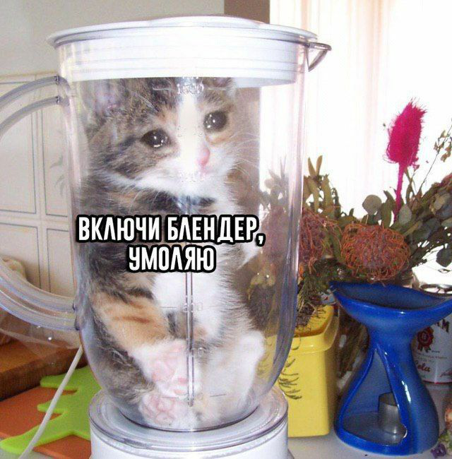 D1h1FElW0AAtcBo?format=png&name=small