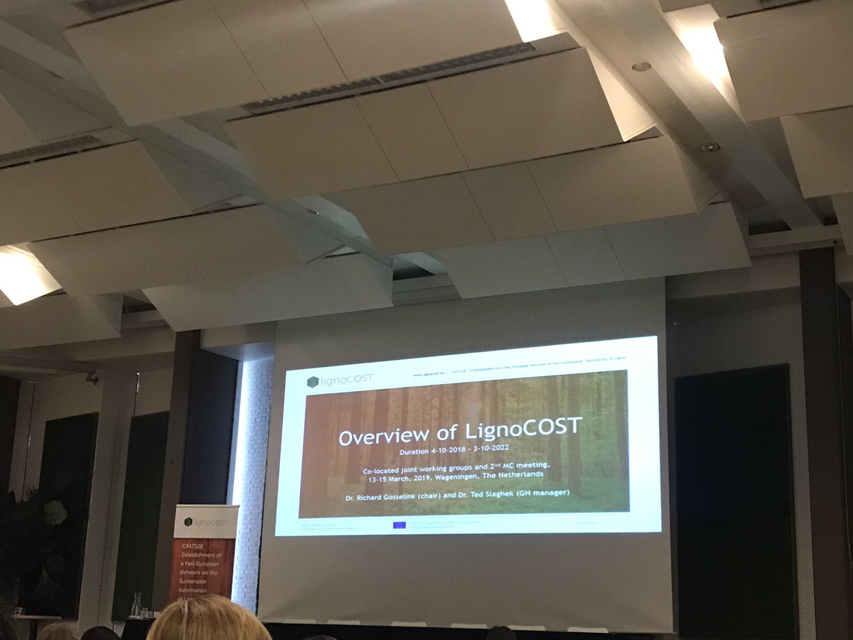 Together with 100 participants from whole Europe, experts in lignin valorisation, at the LignoCOST2019 working meeting in <a href="/WUR/">Wageningen U&R</a>.
Representing <a href="/Vertoro_NL/">Vertoro</a> <a href="/TUe_ST/">TU/e Chemical Engineering and Chemistry</a>
